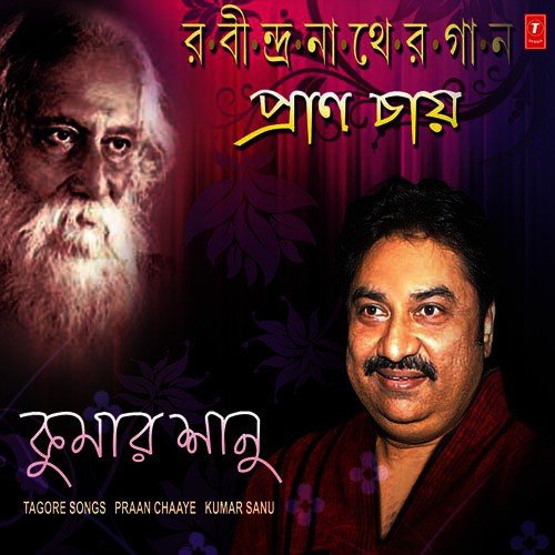 Tumi Robe Nirabe by Kumar Sanu - Download on PagalFree