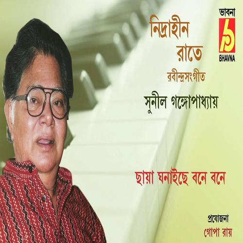 Nidrahin Rate by Sunil Gangopadhyay - Download on PagalFree