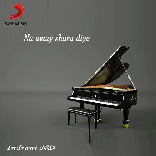 Na Amay Shara Diye by Indrani ND - Download on PagalFree