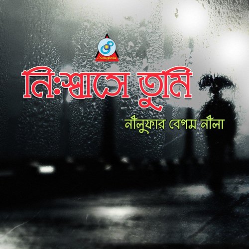 Akashe Shurjo by Nilufar Begum Nila - Download on PagalFree
