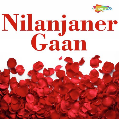 Sei Meyeta by Nilanjan - Download on PagalFree