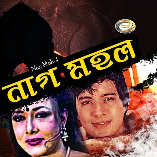 Tomar Kache Ele Poran by Delwar Jahan Jhontu - Download on PagalFree