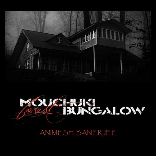 Nijhum Raat (Acoustic Version) by Animesh Banerjee - Download on PagalFree