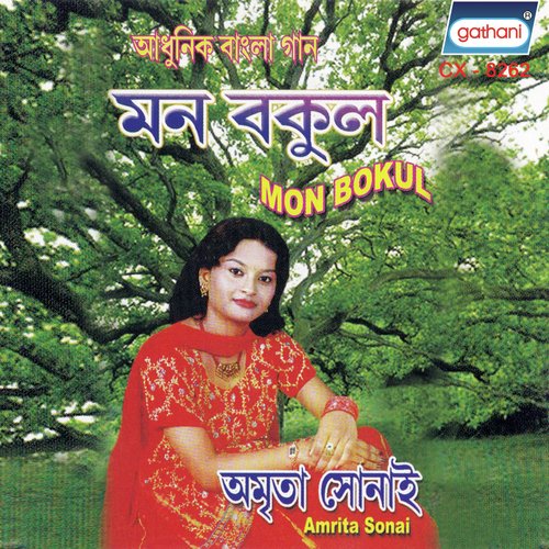 Ki Bole Sravan by Amrita Sonai - Download on PagalFree