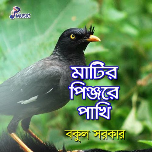 Doyal Murshido Koto Bhalobasi by Bakul Sarkar - Download on PagalFree