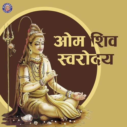 Lingashtakam by Various Artists - Download on PagalFree