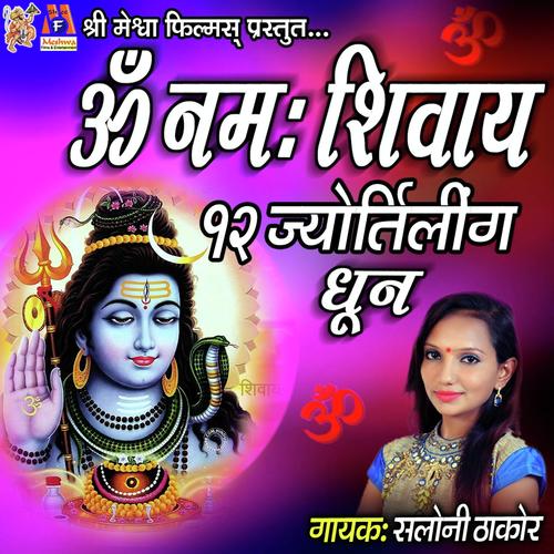 Om Namah Shivay Dhun by Saloni Thakor - Download on PagalFree