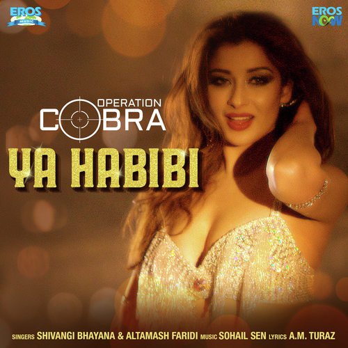Ya Habibi by Sohail Sen, Anmol Malik - Download on PagalFree