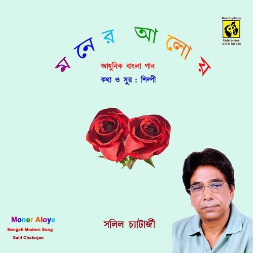 Rina Go Rina by Salil Chatterjee - Download on PagalFree