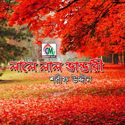 Baba Bhandari Bihoner by Shorif Uddin - Download on PagalFree