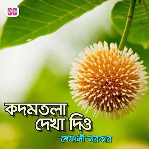 Tumi Kodomtola by Shefali Sarker - Download on PagalFree