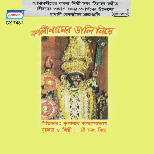 Onek Din To Par Holo Ma by Sri Sanat Singha - Download on PagalFree