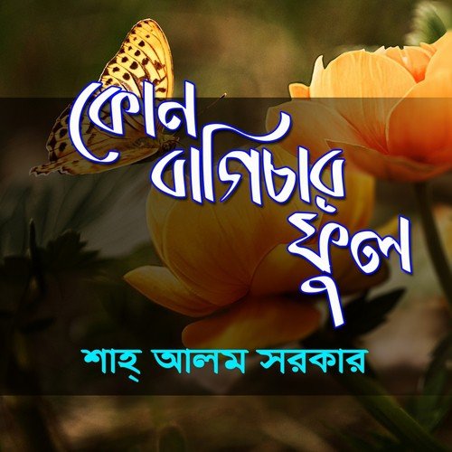 Amai Bhule Jawa Sai Bondhure by Shah Alam Sarkar - Download on PagalFree