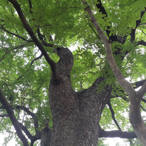 Jeans Pant Horok Katek by Ashish Kumar Tudu, Kamdev Baski - Download on PagalFree