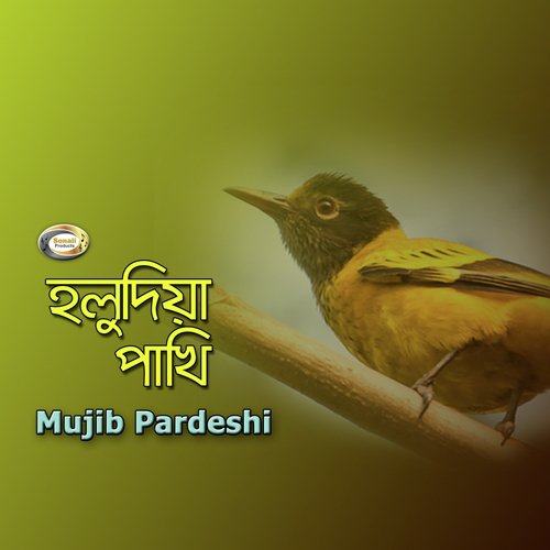 Bohu Diner Pirity by Mujib Pardeshi - Download on PagalFree