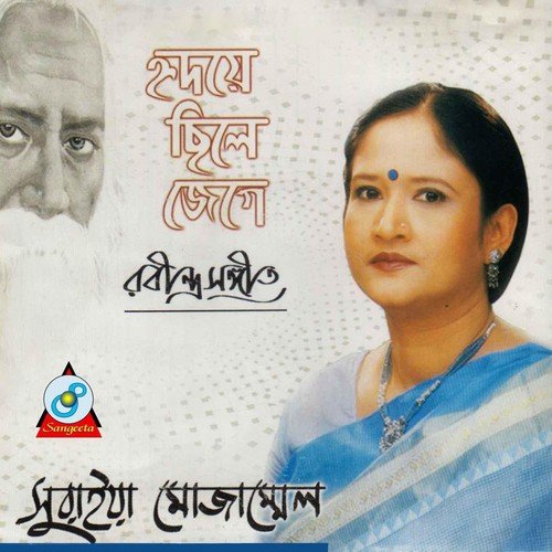 Dirgho Jibonpoth Koto Dukkhotap by Suraiya Mozammel - Download on PagalFree