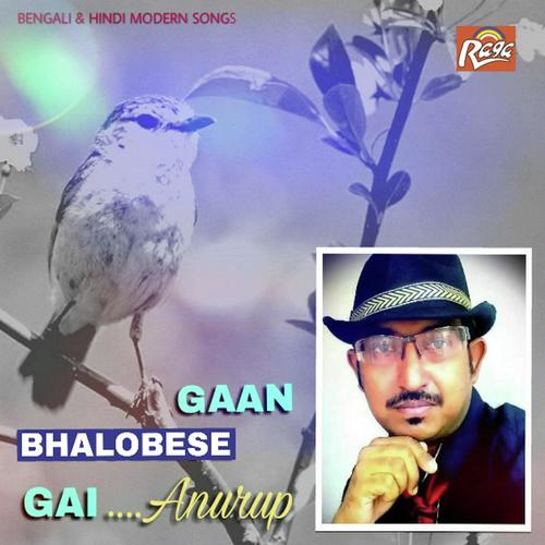 Dil De Chuke Tumhe Sanam by Anurup - Download on PagalFree