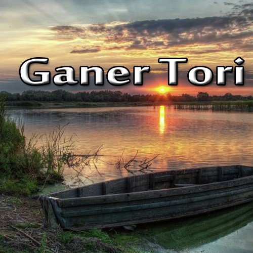 Ganer Tori by Indranil Banerjee - Download on PagalFree