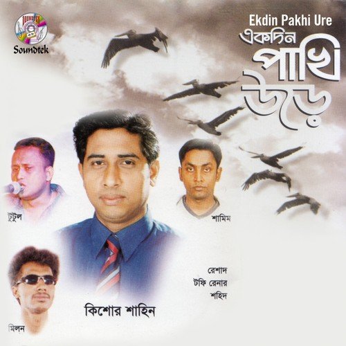 Hariye Tomay by Various Artists - Download on PagalFree