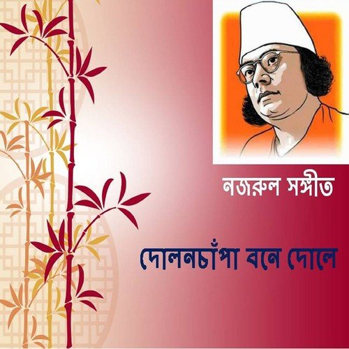 Sapuria Re Bajao Bajao by Sudin Dash - Download on PagalFree