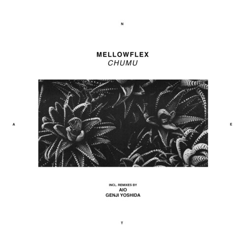 Chumu (Genji Yoshida Remix) by Mellowflex - Download on PagalFree