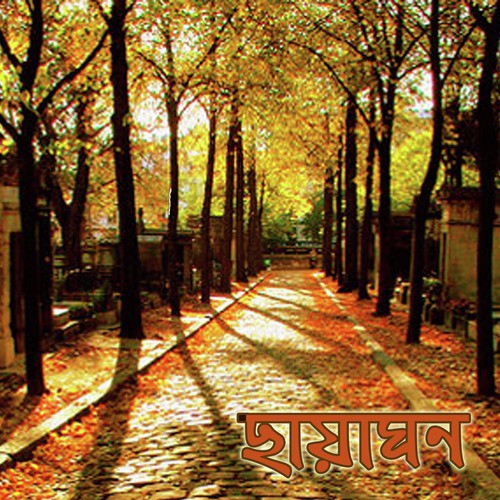 Na Go Ei Je Dhula Amar Na E by Various Artists - Download on PagalFree