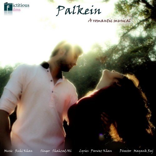 Palkein by Shahzad Ali - Download on PagalFree