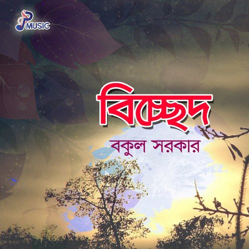 Bujhena Prane by Bakul Sarkar - Download on PagalFree