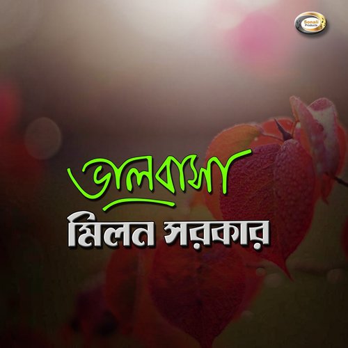 Bidhire Amai Bole Dena by Milon Sorkar - Download on PagalFree