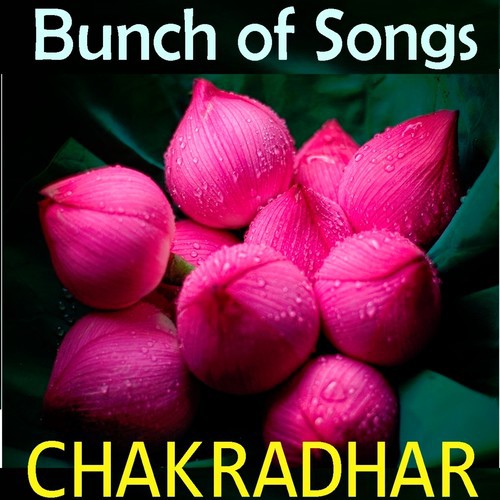 Uncha Sal Dholore by Chakradhar - Download on PagalFree