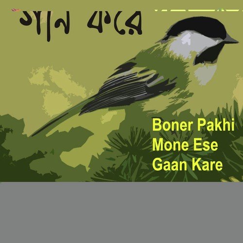 Boner Pakhi Mone Ese Gaan Kare by Purna Das Baul - Download on PagalFree