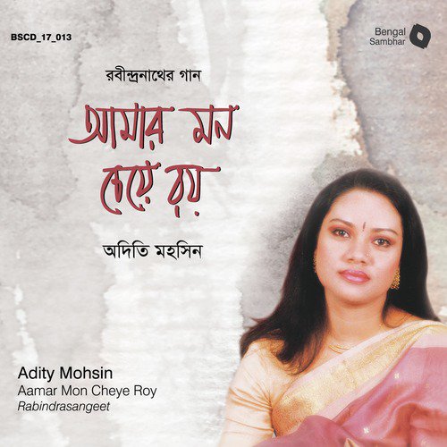 Dibasha Rajani by Adity Mohsin - Download on PagalFree