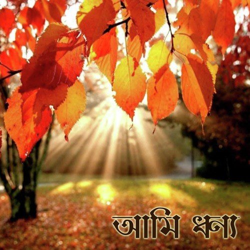 Sonar Chaiteo Dami by Various Artist - Download on PagalFree