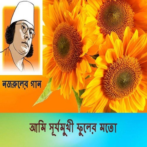 Ami Surjomukhi Fuler Moto by Various Artists - Download on PagalFree