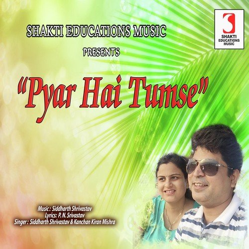 Pyaar Hai Tumse by Siddharth Shrivastav - Download on PagalFree