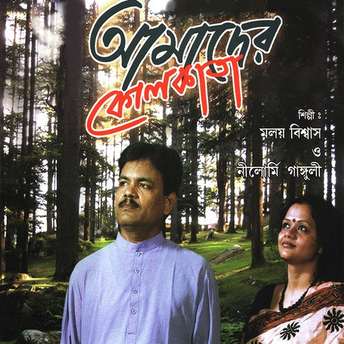 Sei Sur Bhulbo by Moloy Biswas, Nilormi Ganguly - Download on PagalFree