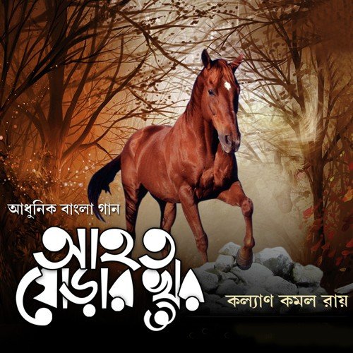Durey Se Kothay by Kalyan Kamal Roy - Download on PagalFree