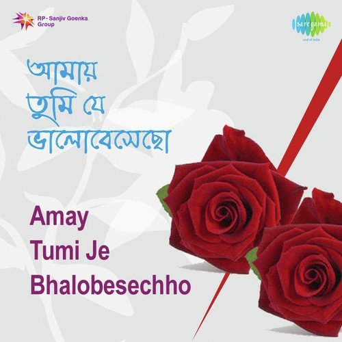 Ami To Haat Bariye Chhilam by Sujata Sarkar - Download on PagalFree