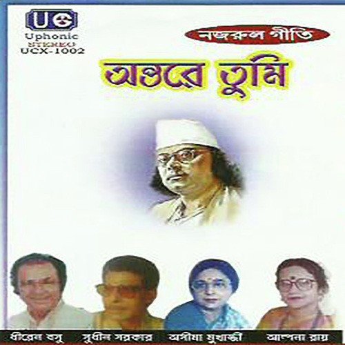Jhiler Jale by Kazi Nazrul Islam - Download on PagalFree