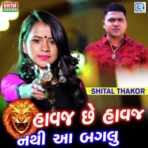 Havaj Chhe Havaj Nathi Aa Baglu by Ajay Thakor, Vijay Thakor, Shital Thakor - Download on PagalFree