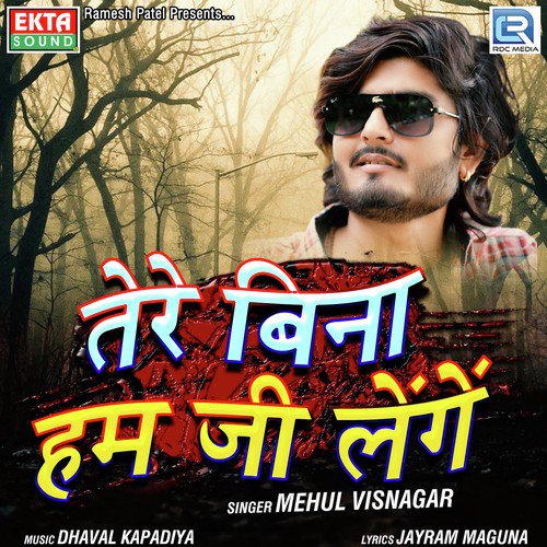 Tere Bina Hum Jee Lenge by Mehul Visnagar - Download on PagalFree