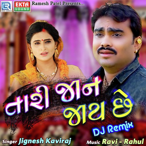 Tari Jaan Jaay Chhe Dj Remix by Jignesh Barot - Download on PagalFree