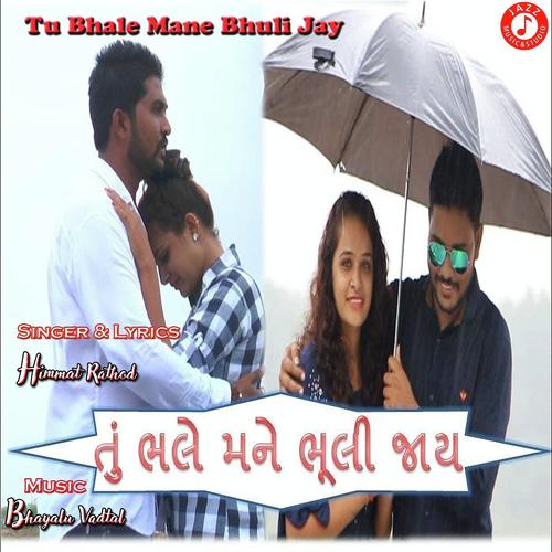 Tu Mane Bhuli Jay by Shailesh Damor - Download on PagalFree