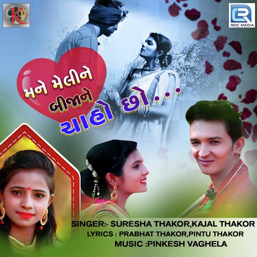 Mane Meline Bijane Chaho Chho by Vishnu Thakor - Download on PagalFree
