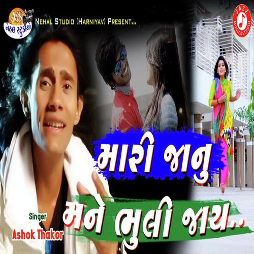 Mari Janu Mane Bhuli Jaay by Mukesh Rabari - Download on PagalFree
