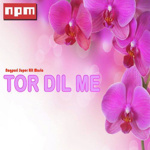 Kavi Kavi Mila Kro Na by Various Artists - Download on PagalFree