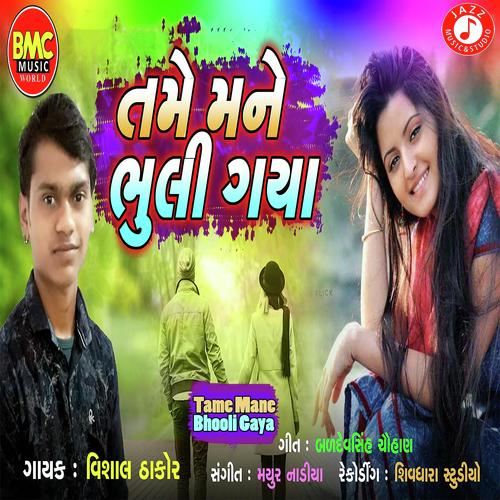 Tame Mane Bhooli Gaya by Vishal Thakor - Download on PagalFree