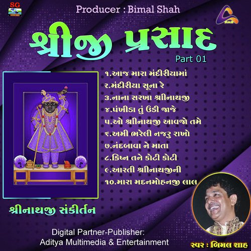 Amee Bhareli by Bimal Shah - Download on PagalFree