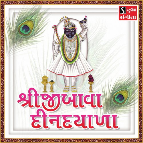 Shreeji Bawa Din Dayala by Kishore Manraja - Download on PagalFree