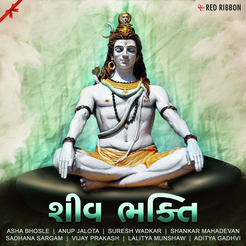 Om Namah Shivay (Female Version) by Various Artists - Download on PagalFree